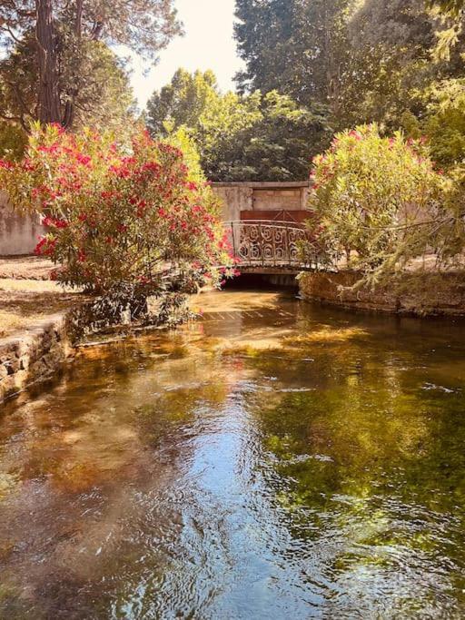 Appartement Fontaine De Vaucluse 외부 사진